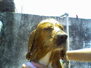 aki esta mi bebe que busca novia aki esta mi bebe que busca novia